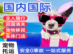 宜春明月山国际宠物托运 【国